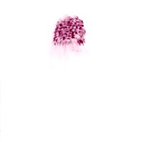 pastel rose sur calque,nuque david, 21x29,7cm, 2008 MX 35 2